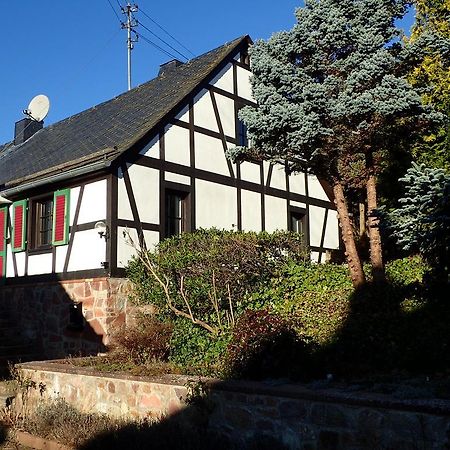 Vakantiehuis Hunsrueck Leisel Exteriör bild