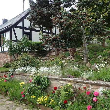 Vakantiehuis Hunsrueck Leisel Exteriör bild