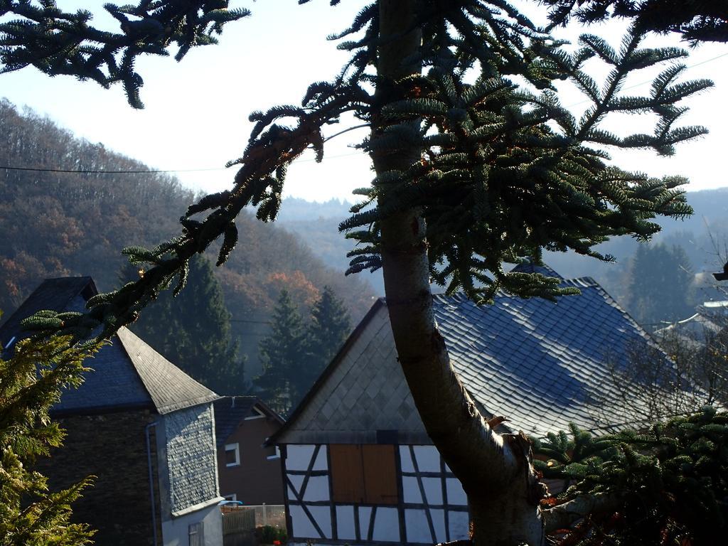 Vakantiehuis Hunsrueck Leisel Exteriör bild