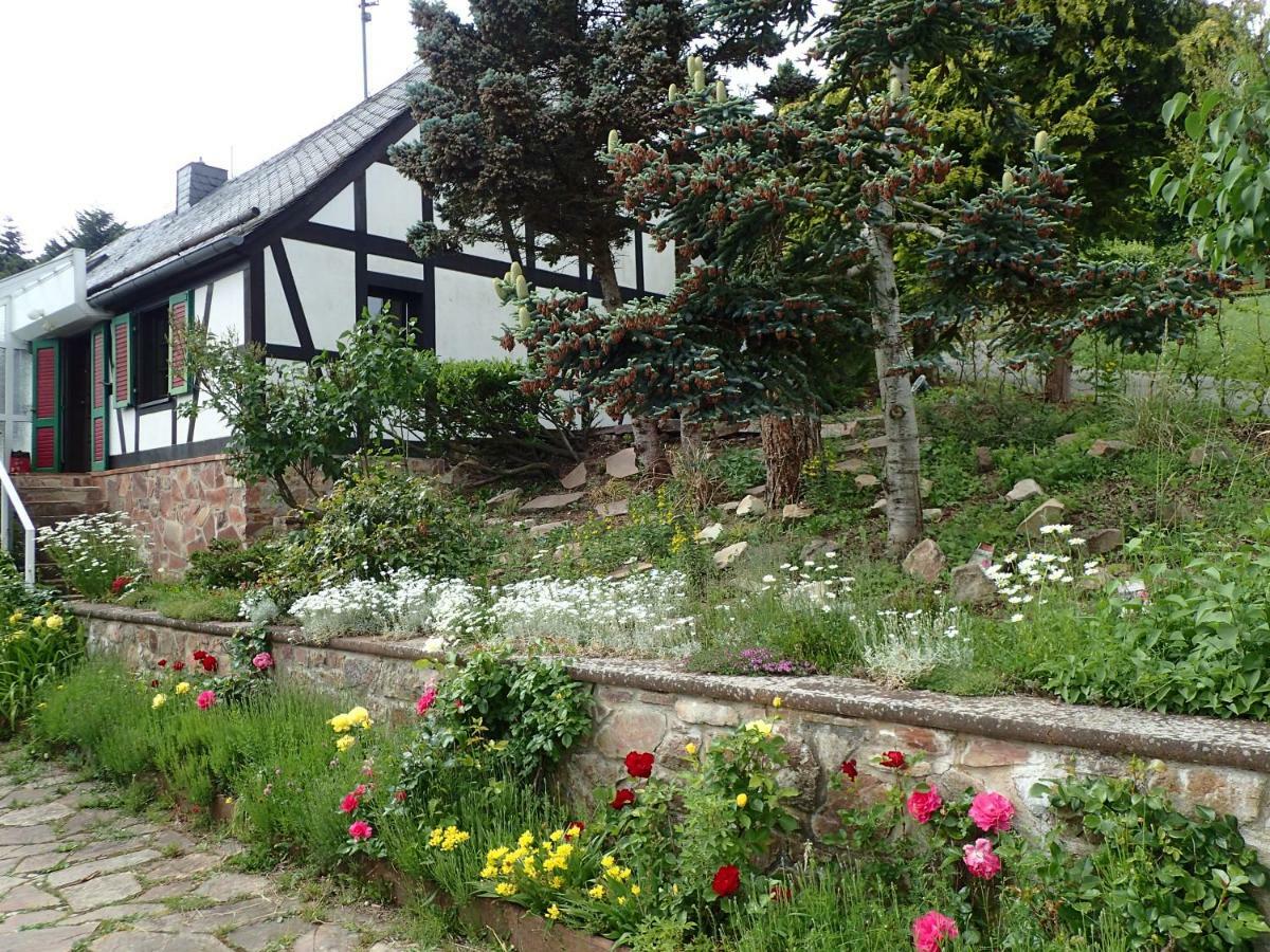 Vakantiehuis Hunsrueck Leisel Exteriör bild
